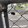 Img_4171