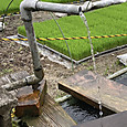 Img_4245