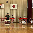 Img_4773