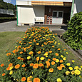 Img_4879