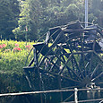 Img_5635