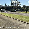 Image_1