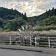 Image_7
