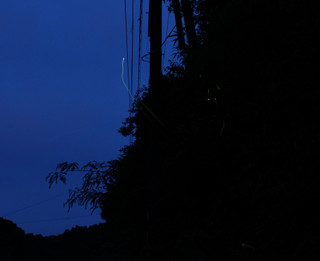 Dsc_867221