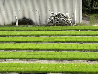 Img_7241 Img_7241
