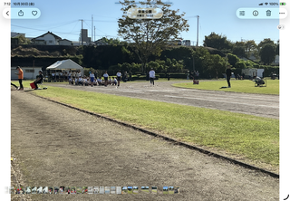 Image_1 Image_1