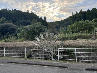 Image_7 Image_7